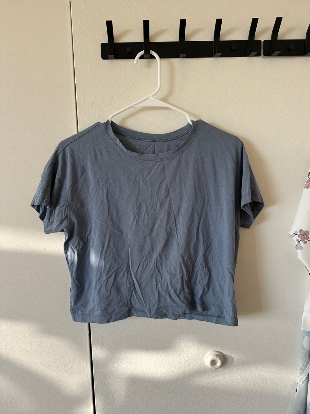 Women's Cropped Crewneck Tee - Slate Blue